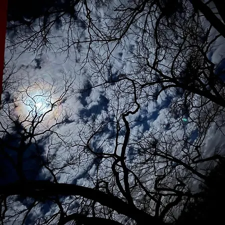 Ξενοδοχείο Spreewaldhotel Leipe