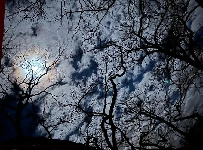 Hotel Spreewaldhotel Leipe